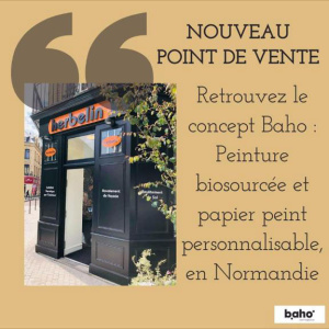 Quelques réalisations en peinture intérieure et décoration